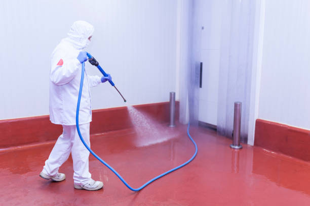 Best Concrete Sealing  in Standish, MI